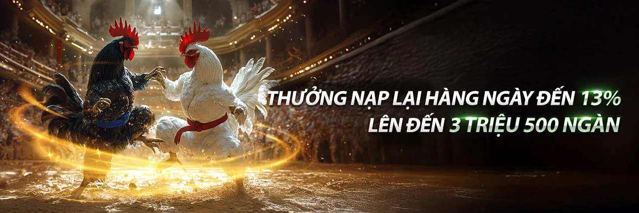 Đá Gà 333666 – Sân chơi đá gà trực tuyến kịch tính
